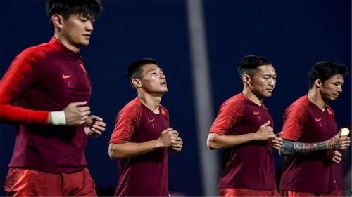 郑磊最新爆料视频大全集,揭秘背后真相与精彩瞬间