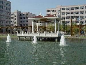 开封大学最新爆料事件,揭秘校园事件背后的真相