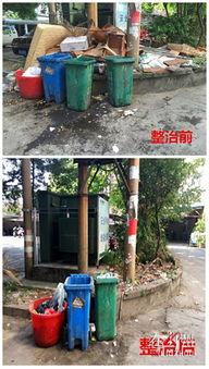 柳州小区爆料事件最新,业主维权引发关注，事件最新进展如何？