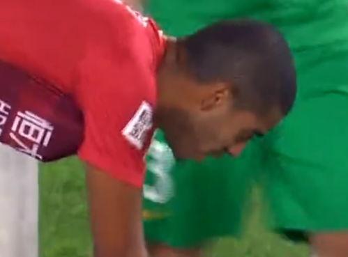 国安和阿兰最新爆料,揭秘背后真相与内幕