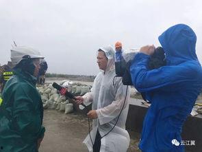 瑞安记者爆料新闻最新情况,揭秘事件背后惊人真相